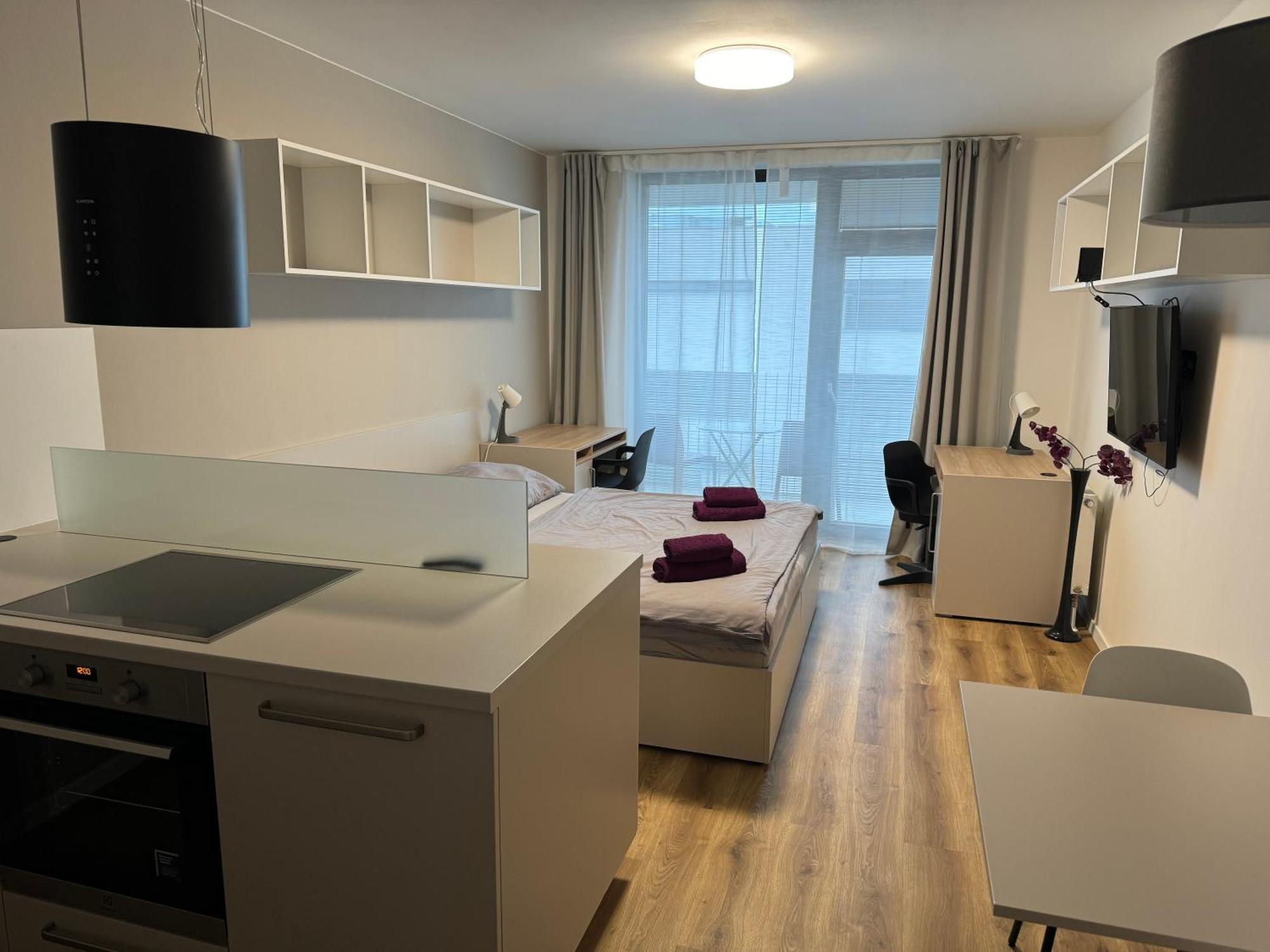 Violet Apartment Brno Dış mekan fotoğraf