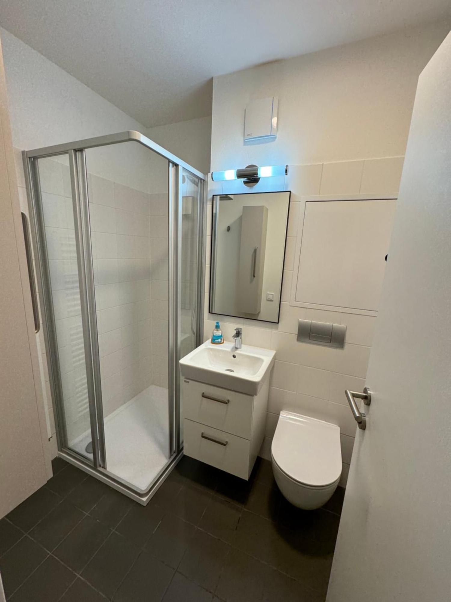 Violet Apartment Brno Dış mekan fotoğraf